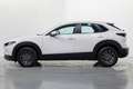 Mazda CX-30 2.5 e-Skyactiv-G Prime Line FWD 103kW Blanco - thumbnail 8