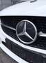 Mercedes-Benz C 220 C 220 d T Aut. S205 AMG Night Edition Weiß - thumbnail 12