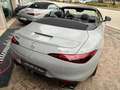 Mercedes-Benz SL 43 AMG AMG SL 43 Premium Plus 381cv-NAZIONALE! Grau - thumbnail 9