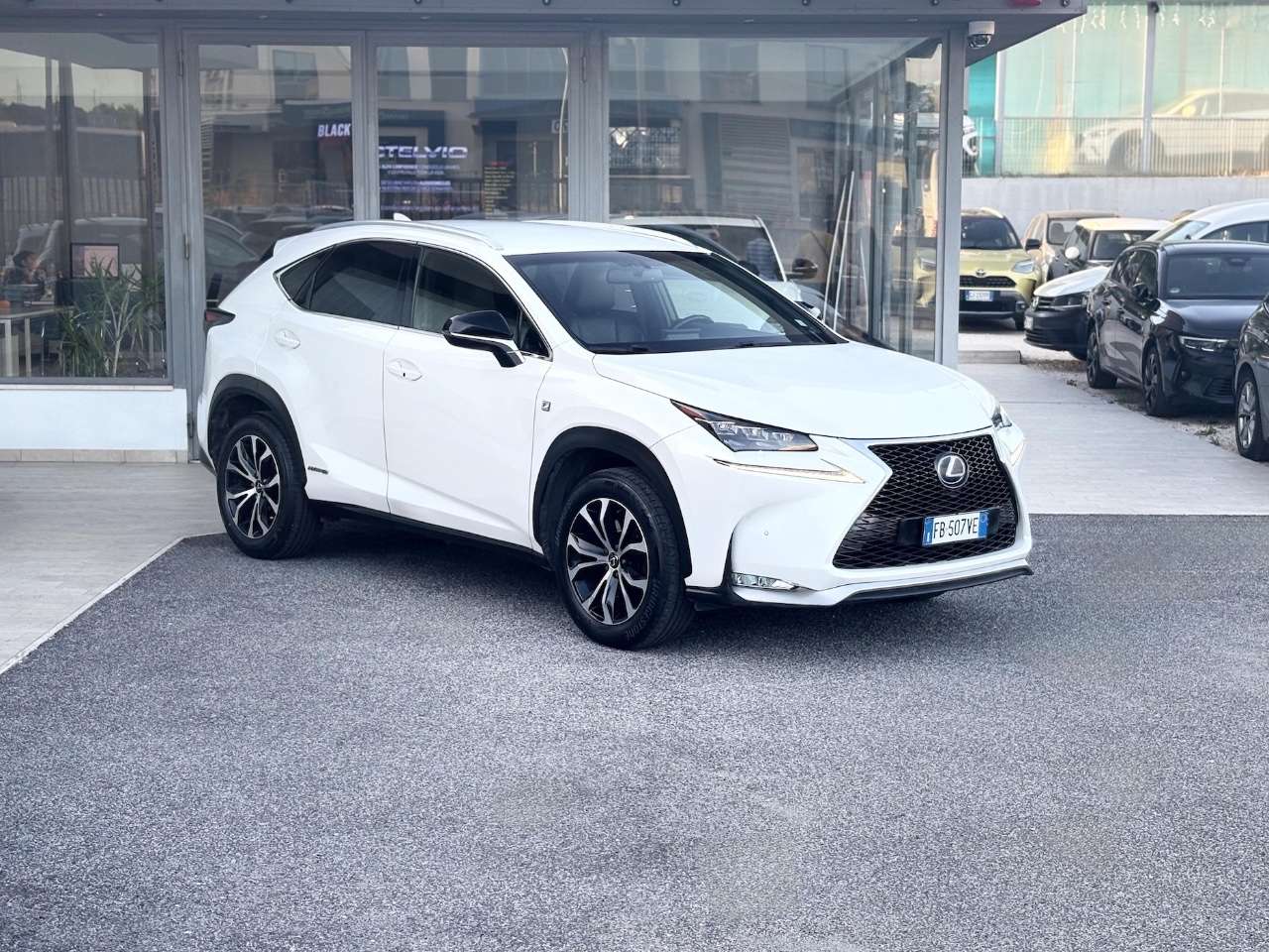 Lexus NX 300h 2.5 FHEV F-Sport 155CV E6 - 2015