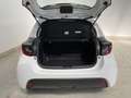 Toyota Yaris 1.0 5 porte Active Wit - thumbnail 4