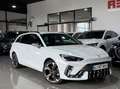CUPRA SP 1.5 eTSI 110kW (150CV) DSG Blanco - thumbnail 20