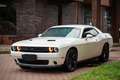 Dodge Challenger Automatik SXT Plus Weiß - thumbnail 12