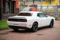 Dodge Challenger Automatik SXT Plus Weiß - thumbnail 4