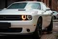 Dodge Challenger Automatik SXT Plus Weiß - thumbnail 7
