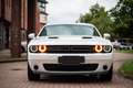 Dodge Challenger Automatik SXT Plus Weiß - thumbnail 6