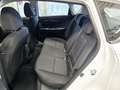 Hyundai BAYON SHZ,Tempomat,Klima,Navi,Kamera,Multif.-L. Weiß - thumbnail 6