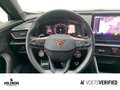 CUPRA Formentor 2.0 TSI VZ 4Drive PANO+BEATS+RFK Grau - thumbnail 12
