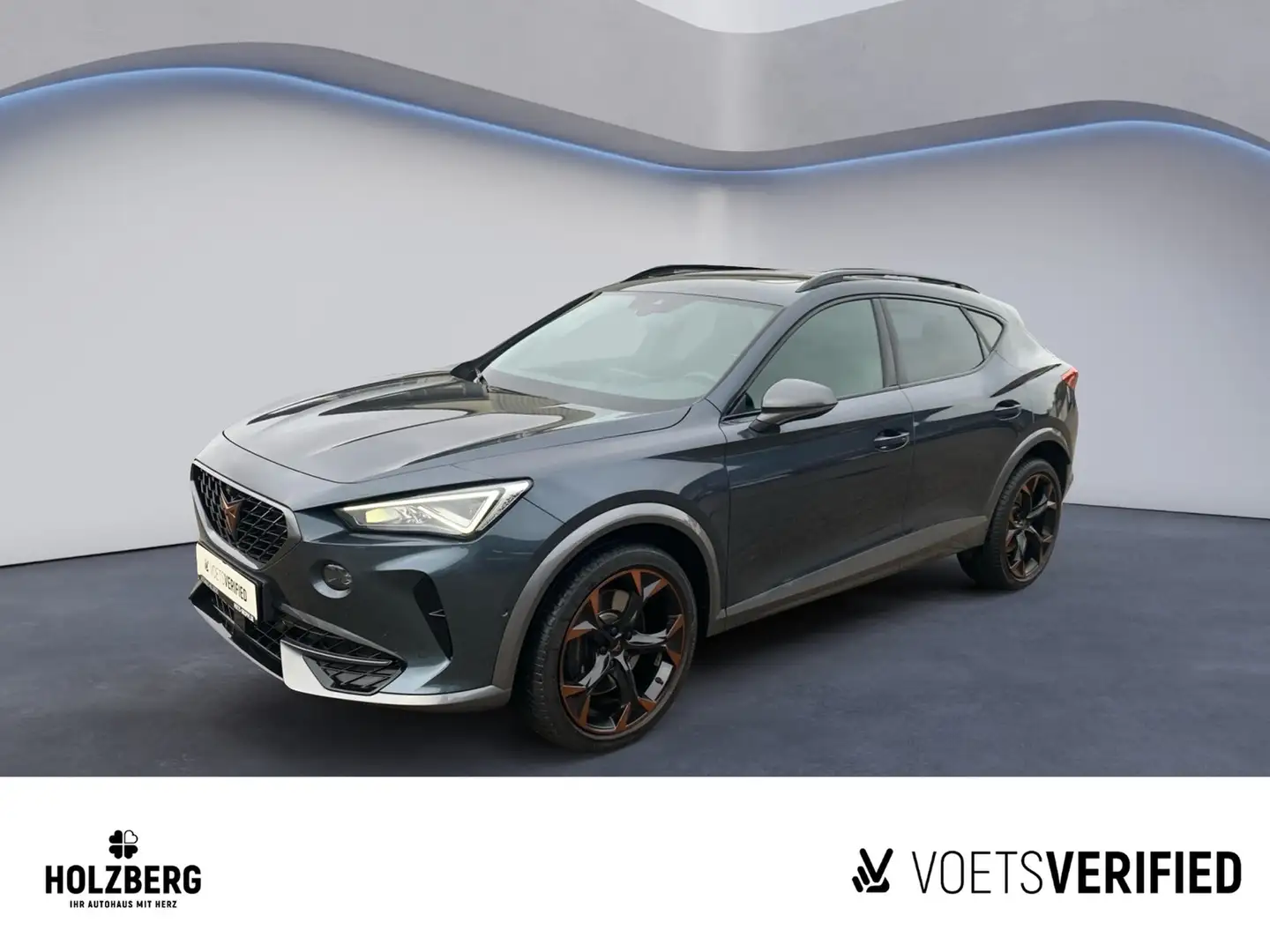 CUPRA Formentor 2.0 TSI VZ 4Drive PANO+BEATS+RFK Grau - 1