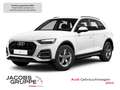 Audi Q5 40 TFSI quattro LED*AHK*R-Kamera * Weiß - thumbnail 1