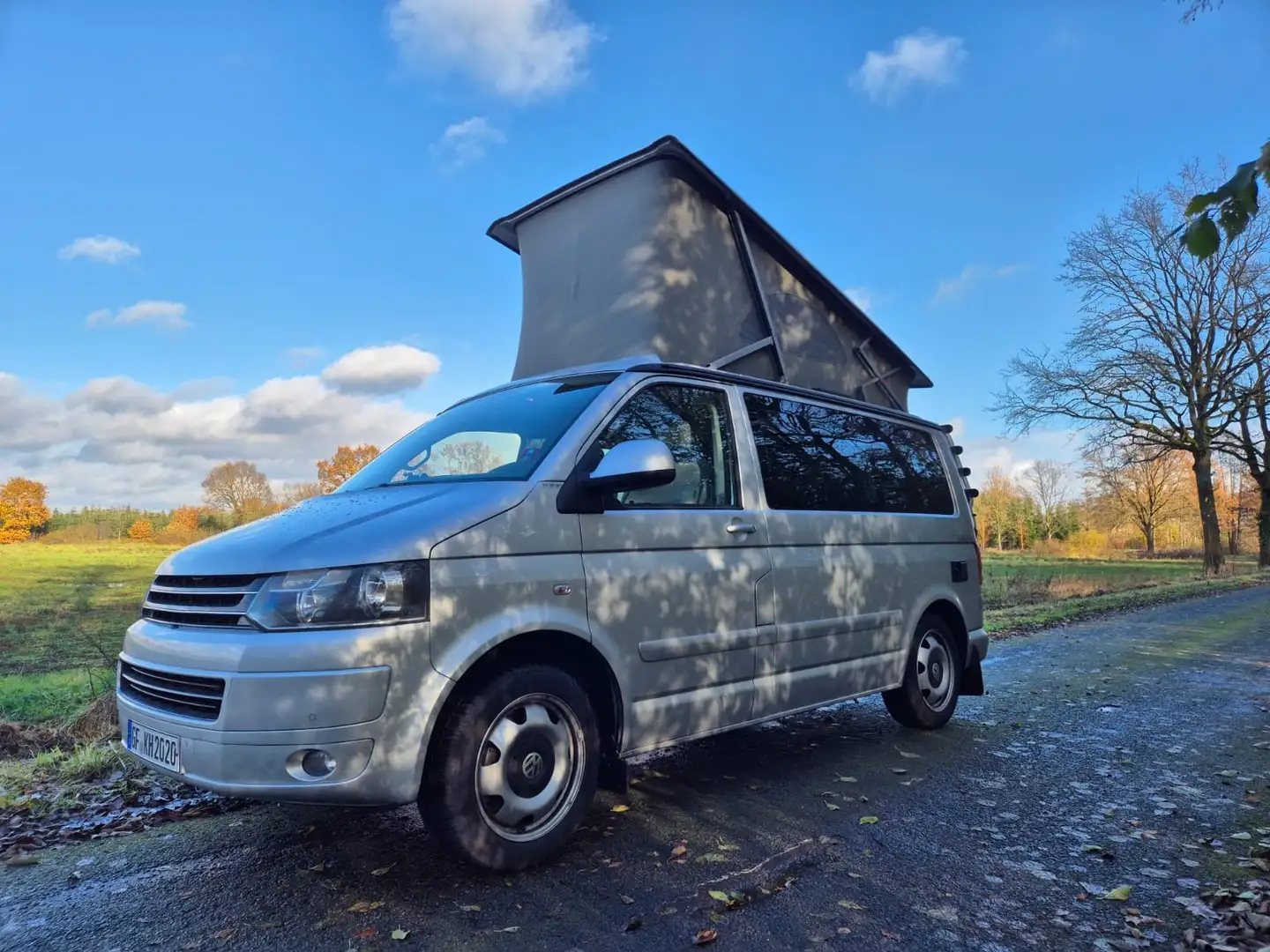 Volkswagen T5 California Comfort Line Серебристый - 1