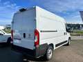 Fiat Ducato 33 2.2 Mjt 120CV PM-TM Furgone Bianco - thumbnail 4
