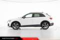 Audi Q3 35 TDI quattro S tronic S line edition Bianco - thumbnail 3