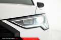 Audi Q3 35 TDI quattro S tronic S line edition Bianco - thumbnail 12