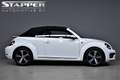 Volkswagen Beetle Cabriolet 1.2 TSI 105pk Exclusive Series Carplay/F Wit - thumbnail 11