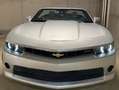 Chevrolet Camaro Cabrio 3.6 Aut. Silber - thumbnail 5