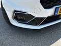 Ford Fiesta 1.0 EcoBoost ST-Line stage 2 Wit - thumbnail 10