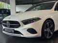Mercedes-Benz A 180 Progressive Night Pack, Distronic, Camera, Mbux, L Weiß - thumbnail 30