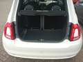 Fiat 500 1.0  Mild-Hybrid Lounge Klima Alu Weiß - thumbnail 6