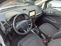 Ford EcoSport 1.5 Ecoblue 100 CV Start&Stop Plus Bianco - thumbnail 6