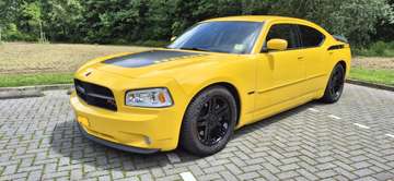 Daytona top Banana
