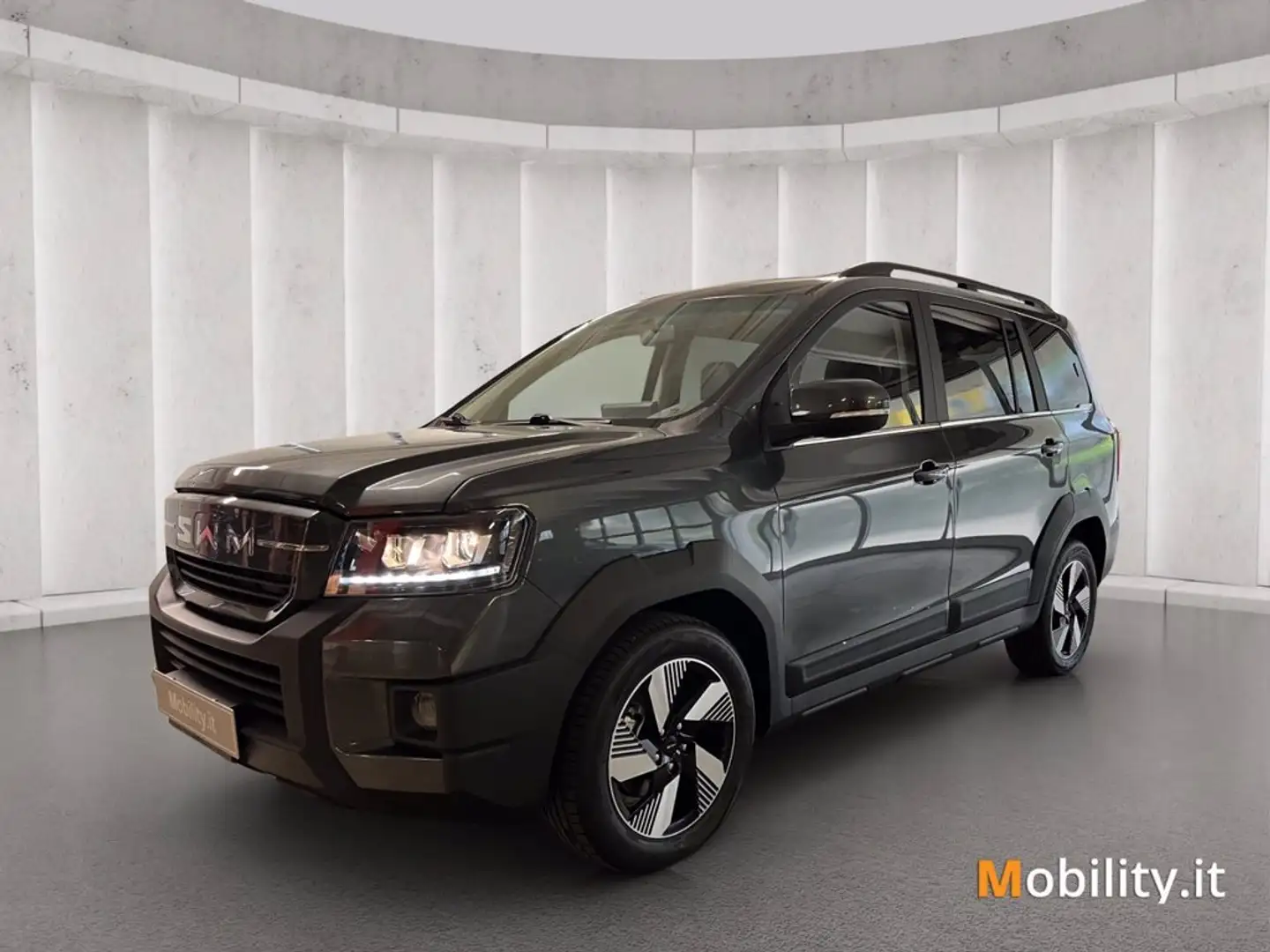 SWM G03F Super Hybrid 1.5 phev ecvt Gris - 1