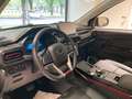 SWM G03F Super Hybrid 1.5 phev ecvt Grigio - thumbnail 8