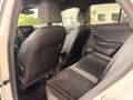 Volkswagen T-Roc R-Line 1.5 TSI Navi LED ACC Kamera Digitales Cockp Weiß - thumbnail 13