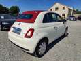 Fiat 500C 1.0i MHEV Cult Wit - thumbnail 7