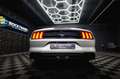 Ford Mustang Shelby 500 GT Cabrio Performance PREMIUM Silber - thumbnail 20