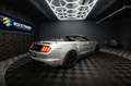 Ford Mustang Shelby 500 GT Cabrio Performance PREMIUM Silber - thumbnail 15