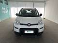 Fiat Panda 0.9 TwinAir Turbo 85cv S&S E6d-Temp 4x4 Bianco - thumbnail 6