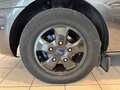 Ford Tourneo Custom 9 POSTI Grigio - thumbnail 13