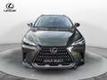 Lexus NX 300 Lexus NX 350 Hybrid 4WD Premium Vert - thumbnail 1