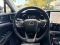 Lexus NX 300 Lexus NX 350 Hybrid 4WD Premium Vert - thumbnail 25
