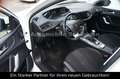 Peugeot 308 Style*PANNO*KAMERA*AHK Blanc - thumbnail 9