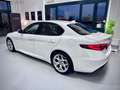 Alfa Romeo Giulia 2.2 Turbodiesel 160 CV AT8 Executive Bianco - thumbnail 5