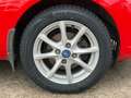 Ford Fiesta *Top Zustand*Zahnriemen neu*Alufelgen*Klima* Rot - thumbnail 7