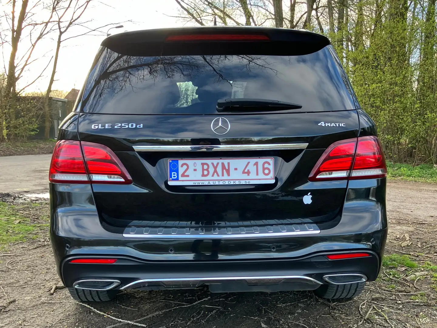 Mercedes-Benz GLE 250 GLE 250 d 4Matic 9G-TRONIC Exclusive Negru - 2