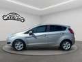 Ford Fiesta 1.5 TDCi 75 CV 5p. Titanium Grau - thumbnail 2
