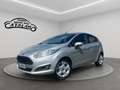 Ford Fiesta 1.5 TDCi 75 CV 5p. Titanium Grau - thumbnail 1