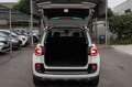 Fiat 500L 1.3 Multijet 95 CV Trekking Blanc - thumbnail 7