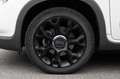 Fiat 500L 1.3 Multijet 95 CV Trekking Blanc - thumbnail 16