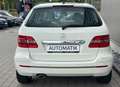 Mercedes-Benz B 200 B 200 CDI/Sportpaket/Automatik/Navi/Klimaautomatik Wit - thumbnail 5