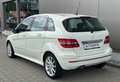 Mercedes-Benz B 200 B 200 CDI/Sportpaket/Automatik/Navi/Klimaautomatik Wit - thumbnail 3