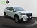 Peugeot 2008 1.5BlueHDi S&S Active Pack 110 Blanc - thumbnail 5
