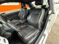 Volkswagen Beetle Lim. Design Leder Panorama Navi Xenon SHZ Weiß - thumbnail 11
