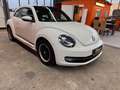 Volkswagen Beetle Lim. Design Leder Panorama Navi Xenon SHZ Weiß - thumbnail 3