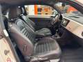 Volkswagen Beetle Lim. Design Leder Panorama Navi Xenon SHZ Weiß - thumbnail 14