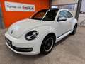 Volkswagen Beetle Lim. Design Leder Panorama Navi Xenon SHZ Weiß - thumbnail 1
